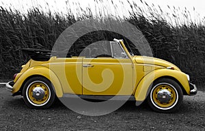 Yellow VW