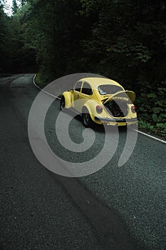 Yellow VW Beetle 1302