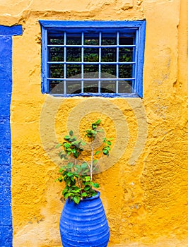 Yellow wall with blue window and pot plant in the old street on Greece. Greek style