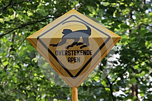 Yellow warning sign for crossing  monkeys