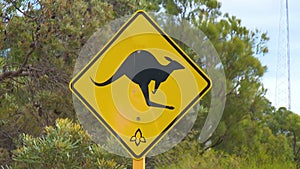 Yellow warning sign for kangaroo crossings