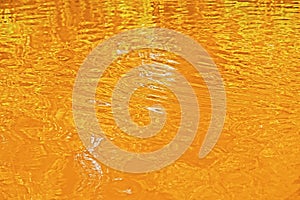 Yellow water at sunset