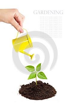 Yellow watering can in his hand watering green sprout