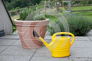 Yellow watering can and wellies in garden on foreground