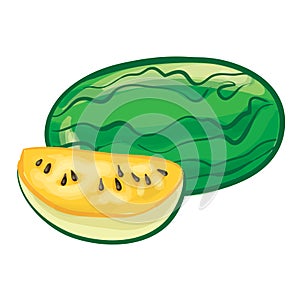 Yellow Watermelon Hand Drawn Vector Illustration