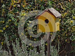 Yellow weathered bird house in a home garden