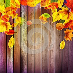 Yellow wet autumn leaves on the background. EPS10