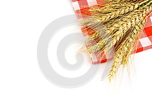 Yellow wheat bundle on white background
