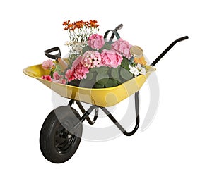 Yellow wheelbarrow with different flowers and gardening tools isolated on white