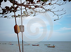 Yellow and white buoys It is nestled in a tree by the sea