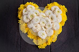 Yellow and white chrysanthemum flower shaped like a heart