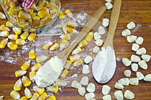 Yellow and white corn and flour in spoons