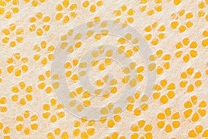 Yellow and White Flower Background Close Up