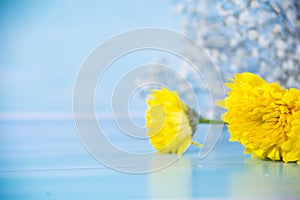 Yellow and white flowers on wood background