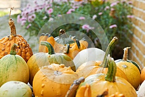 Yellow, white and green gourds in front of a bokeh background