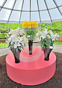 Yellow and white lilies in vase