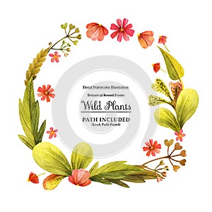 Yellow wild plants round frame for decoration
