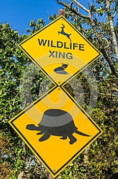 Yellow wildlife crossing road sign