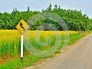 Yellow Winding Road Sign