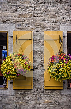 Yellow window shutters and hanging baskets