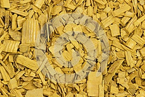 Yellow wood chips texture, wooden decorative background.