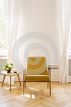 Yellow wooden armchair next to table with plant in white living