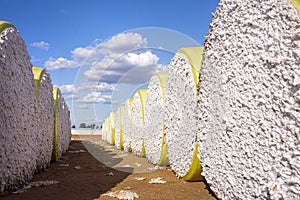 Yellow wrapped bales of cotton