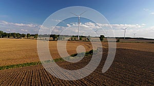 Yellow young fields with windmills. The concept and theme of ecology, energy, agriculture