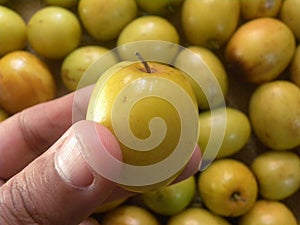 Yellow Ziziphus mauritiana fruit