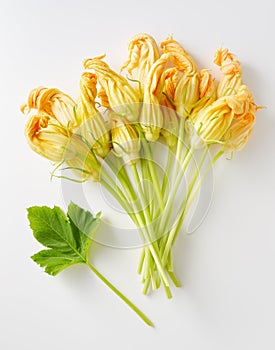 Yellow Zucchini Blossoms