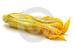 Yellow zucchini flower