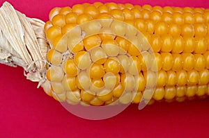 Yellowcorn cob