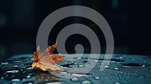 A yellowed fallen leaf on a dark background with water drops. The concept of the beginning of autumn