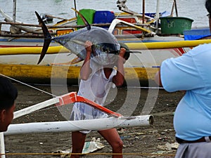 Yellowfin tuna artisanal fishery in Philippines#23