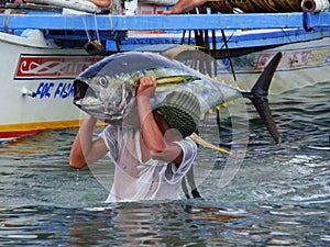 Yellowfin tuna artisanal fishery in Philippines#27
