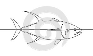 Yellowfin Tuna Fish Continuous Line Vector Graphic