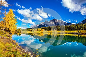 Yellowing aspens and the lake photo