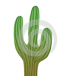 Yellowish green organ cactus