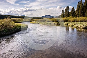 Yellowstone Back Country Trout Stream