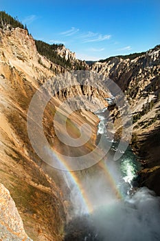 Yellowstone canyon, river, landscape.Wyoming, USA photo