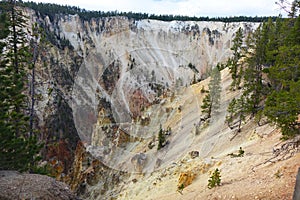 Yellowstone Canyon - Wyoming