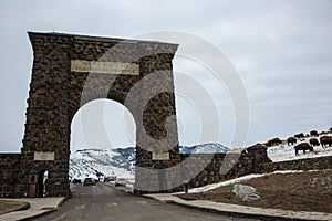 Yellowstone Gate and Bison