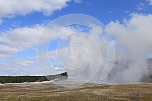 Yellowstone gazer 