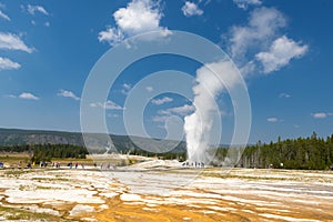 Yellowstone Geyser Old Faithful while erupting