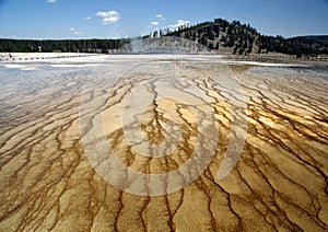 Yellowstone Grand Prismatic Springs