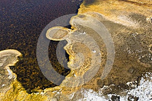 Yellowstone hot spring algal mat detail