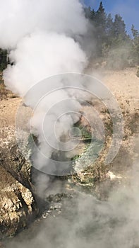 Yellowstone Hot Spring Dragons Cauldron