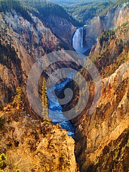 Yellowstone lower falls