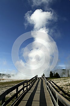 Yellowstone National Park