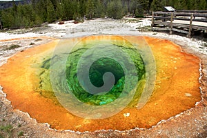 Yellowstone National Park photo